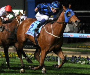 Buffering - Moir Stakes 470