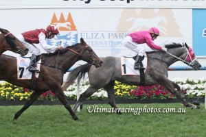 Copy of Catkins,Eliza Park International Stakes,Group 3_26-10-2013_WIN_Moonee Valley_9__1654