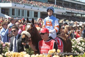 VDC_CupDay_Colours