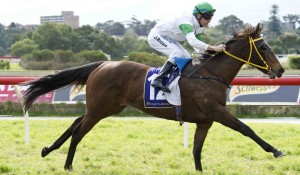 Magnifisio_25-07-2012_WIN_Belmont_4__05