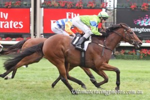 Whistle Baby_18-01-2014_WIN_Flemington_3__255