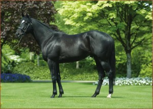 stallion_pics_large_statue