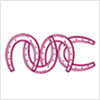 Macau Jockey Club