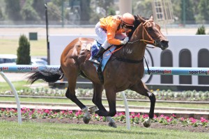 Clevadude_29-12-2012_WIN_Moonee Valley_1__31