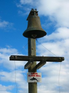 Shark Bell